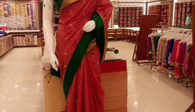 Wedding Saree